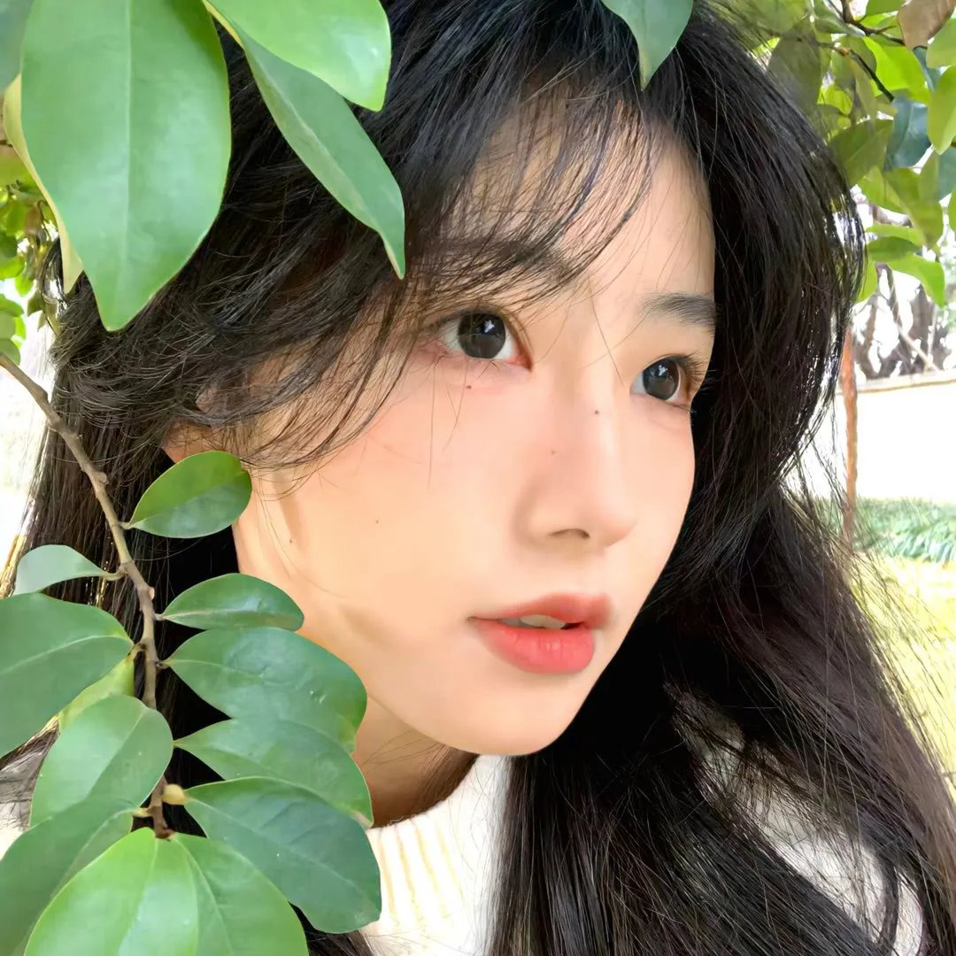失散两生花